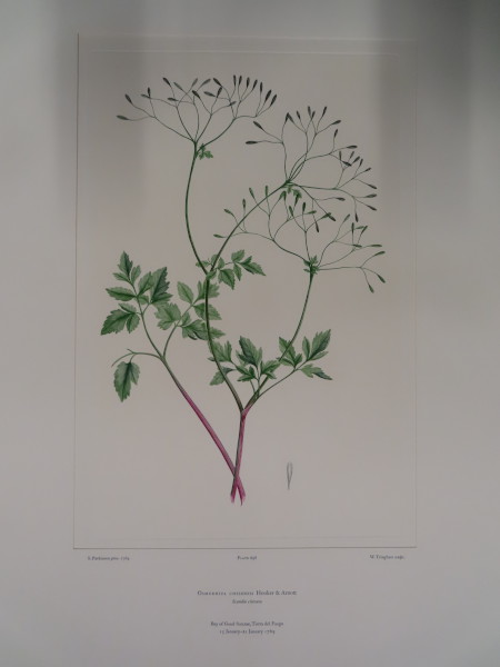 image FDA-E.2916_33_7-2016-A