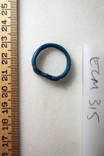 ECM.315-2010-B image ECM.315-2010-B