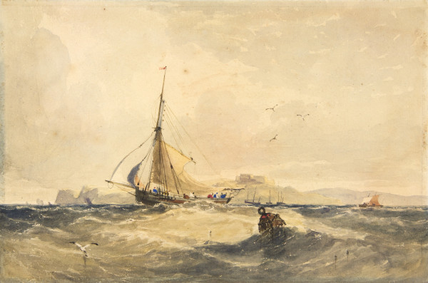 image FDA-D.132-2010