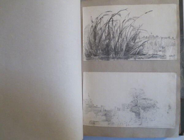 FDA-V.8-2016-AB image FDA-V.8-2016-AB