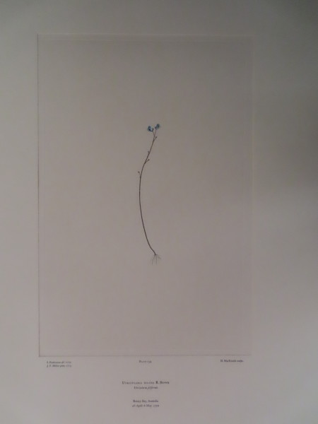 image FDA-E.2916_11_17-2016-A