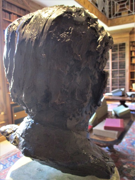 FDA-Sc.17-2017 image FDA-Sc.17-2017