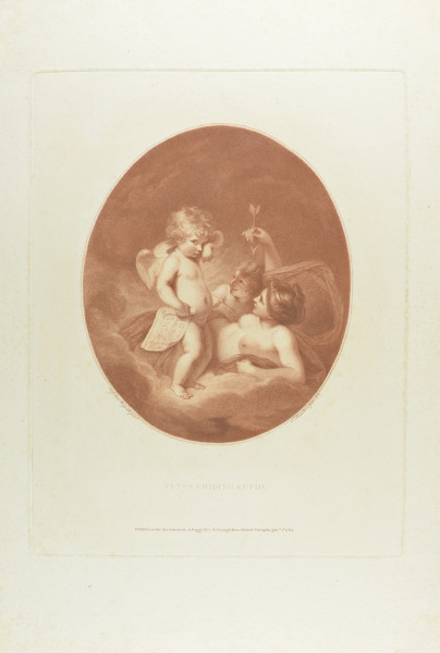 FDA-E.179-2014 image FDA-E.179-2014