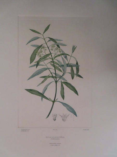 FDA-E.2916_13_25-2016 image FDA-E.2916_13_25-2016