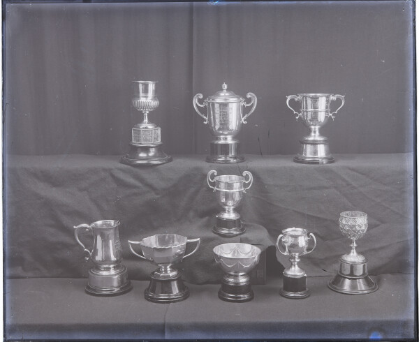 PA-N.1393-2024 image PA-N.1393-2024