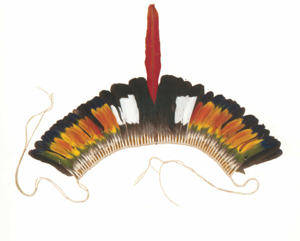 NHM-HT.133-2014 image NHM-HT.133-2014