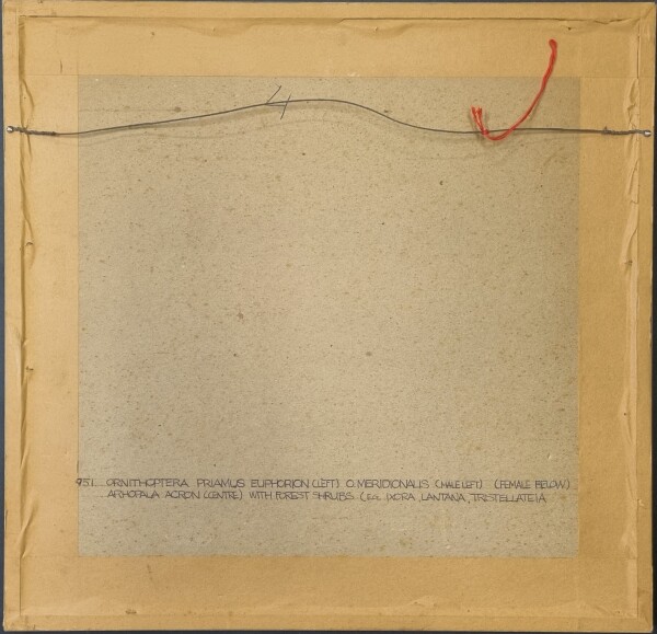 image FDA-D.1786-2025-B