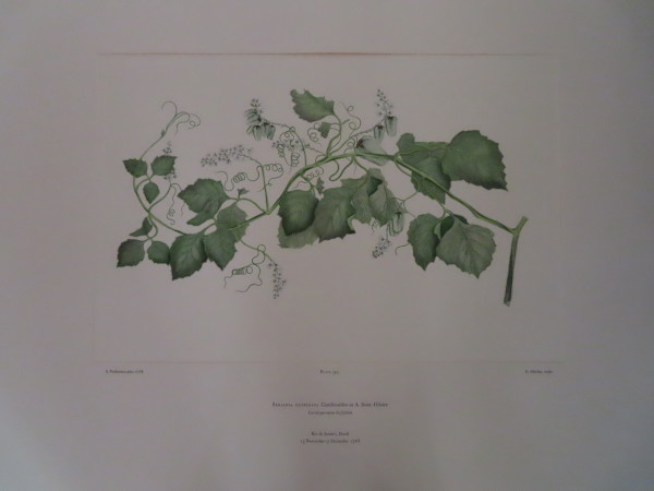 image FDA-E.2916_16_9-2016