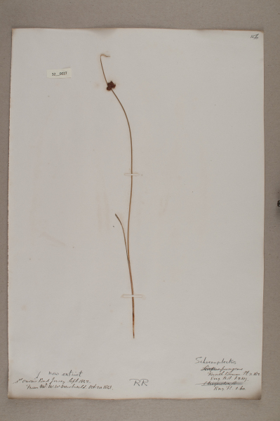 NHM_HH_32.27-2010 image NHM_HH_32.27-2010