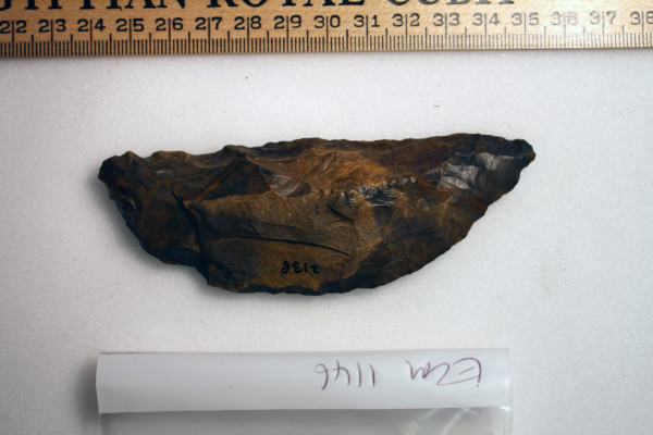 ECM.1146-2010-A image ECM.1146-2010-A