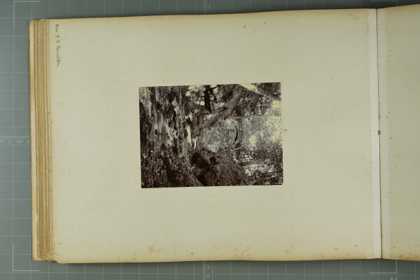 PA-A.81_22-2024 image PA-A.81_22-2024