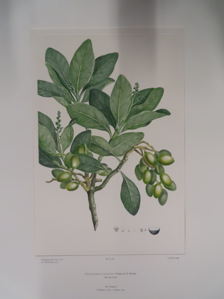 image FDA-E.2916_21_7-2016