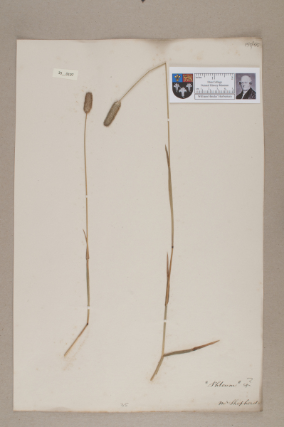 NHM_HH_35.107-2010 image NHM_HH_35.107-2010