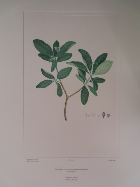 FDA-E.2916_7_20-2016-A image FDA-E.2916_7_20-2016-A