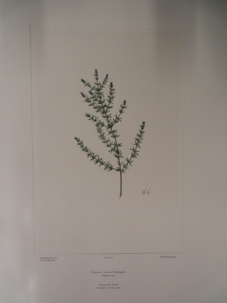 image FDA-E.2916_23_8-2016