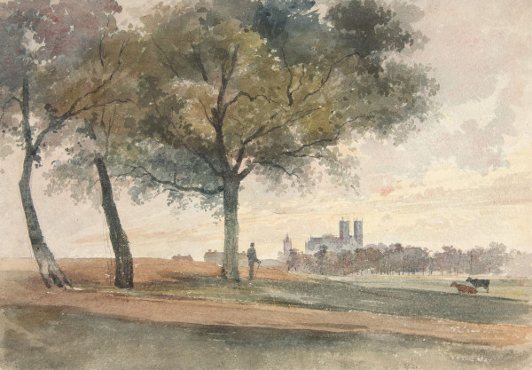 FDA-D.558-2010 image FDA-D.558-2010