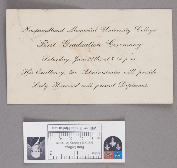 NHM_HH_1.311 reverse-2010 image NHM_HH_1.311 reverse-2010