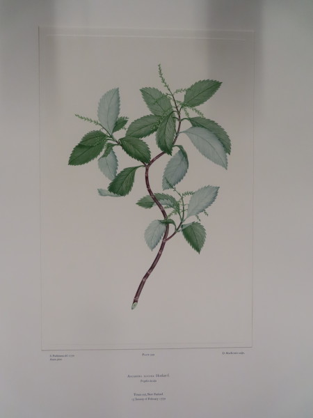 image FDA-E.2916_26_14-2016-A