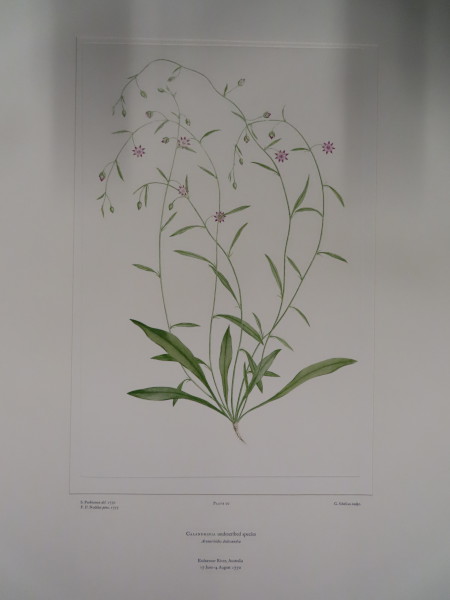 image FDA-E.2916_1_23-2016