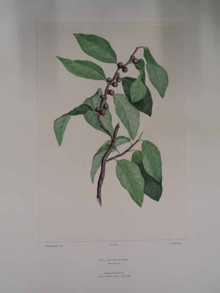 FDA-E.2916_31_8-2016-A image FDA-E.2916_31_8-2016-A