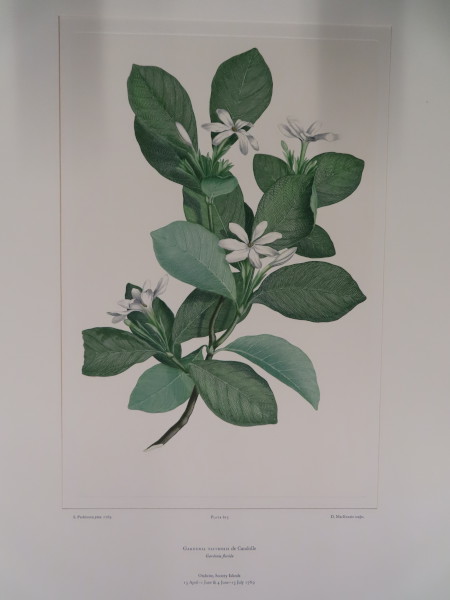 FDA-E.2916_29_12-2016-A image FDA-E.2916_29_12-2016-A