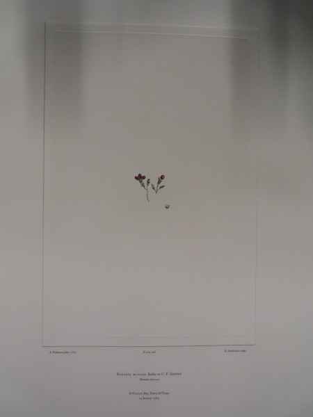 image FDA-E.2916_34_13-2016