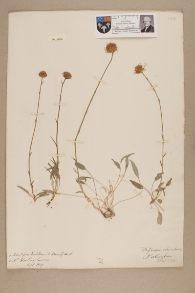 NHM_HH_26.5-2010 image NHM_HH_26.5-2010