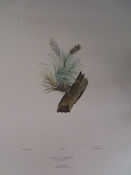 image FDA-E.2916_16_26-2016-A