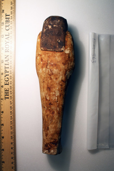 ECM.363-2010-B image ECM.363-2010-B