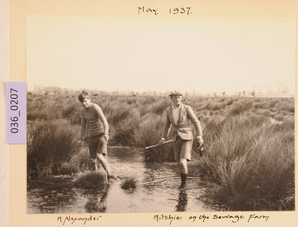 PA-A.36_207-2012 image PA-A.36_207-2012