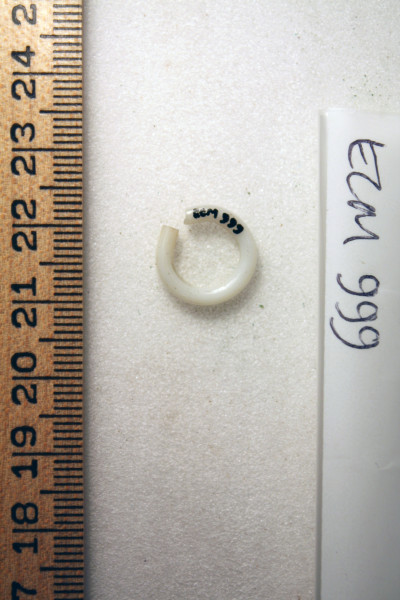 ECM.999-2010-B image ECM.999-2010-B