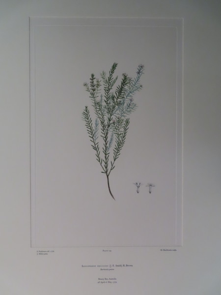 image FDA-E.2916_9_17-2016-A