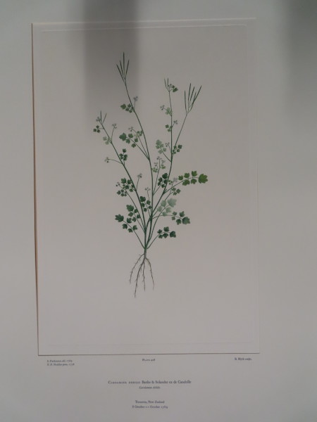 image FDA-E.2916_20_10-2016-A