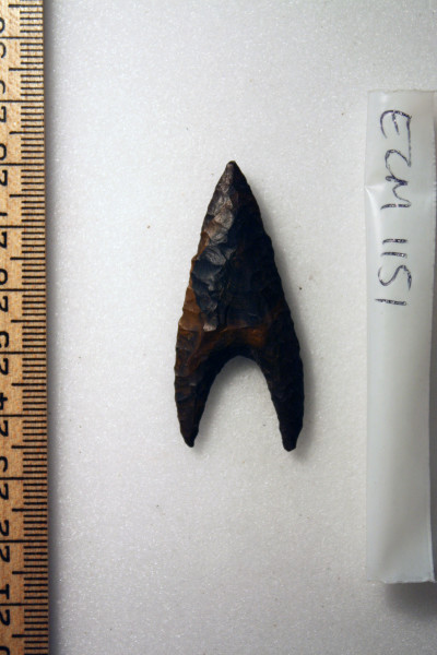 ECM.1151-2010-A image ECM.1151-2010-A