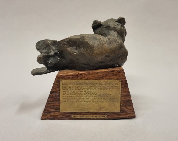 image FDA-A.2585-2025-B