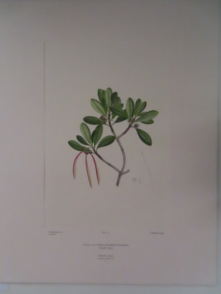 image FDA-E.2916_5_15-2016-A