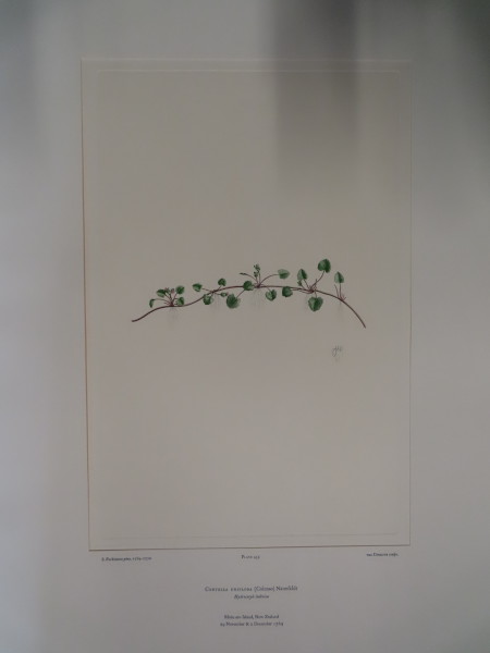 image FDA-E.2916_22_12-2016-A