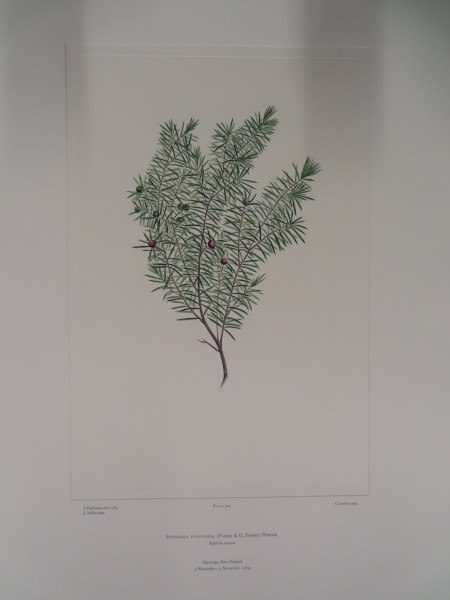 FDA-E.2916_24_13-2016-A image FDA-E.2916_24_13-2016-A