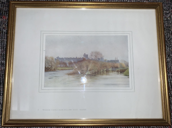 FDA-E.3173_7-2020 image FDA-E.3173_7-2020