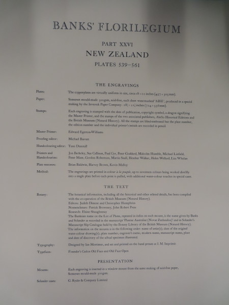 image FDA-E.2916_26_2-2016