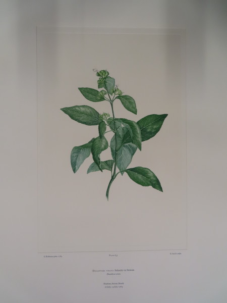 image FDA-E.2916_30_10-2016