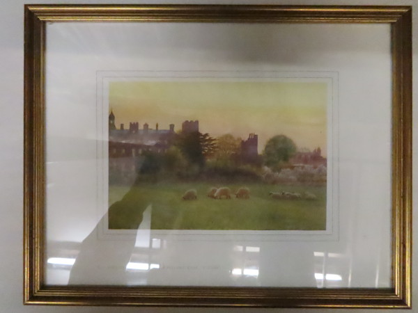 FDA-E.3173_4-2020-B image FDA-E.3173_4-2020-B