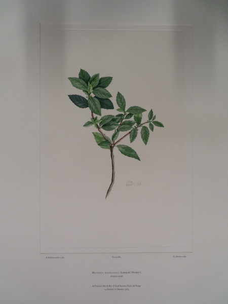 image FDA-E.2916_32_12-2016