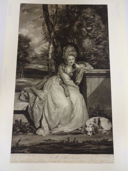 FDA-E.338-2010 image FDA-E.338-2010