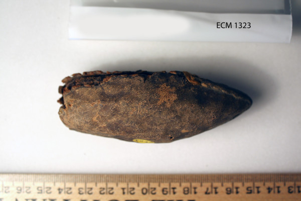 ECM.1323-2010-A image ECM.1323-2010-A