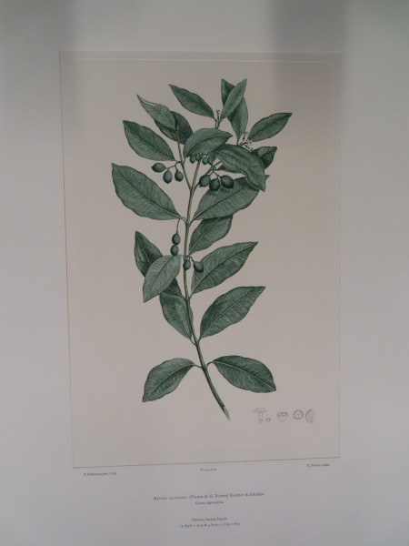 image FDA-E.2916_29_17-2016-A