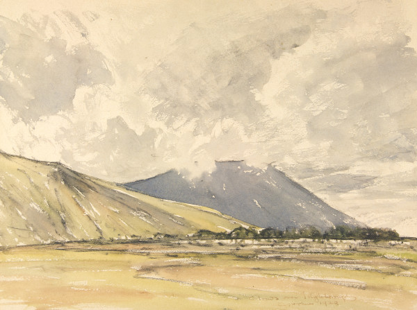 image FDA-D.297-2010