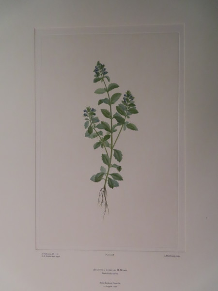 image FDA-E.2916_11_6-2016-A