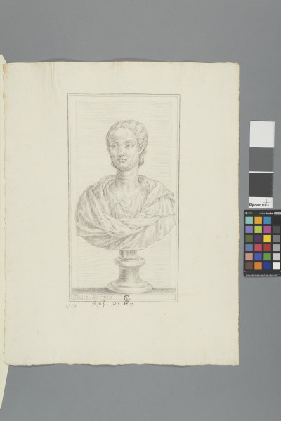 ECL-Bm.3_37-2012 image ECL-Bm.3_37-2012