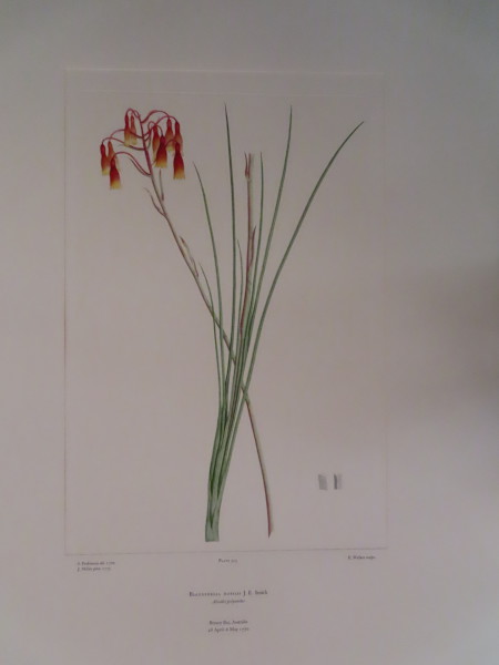 image FDA-E.2916_15_13-2016